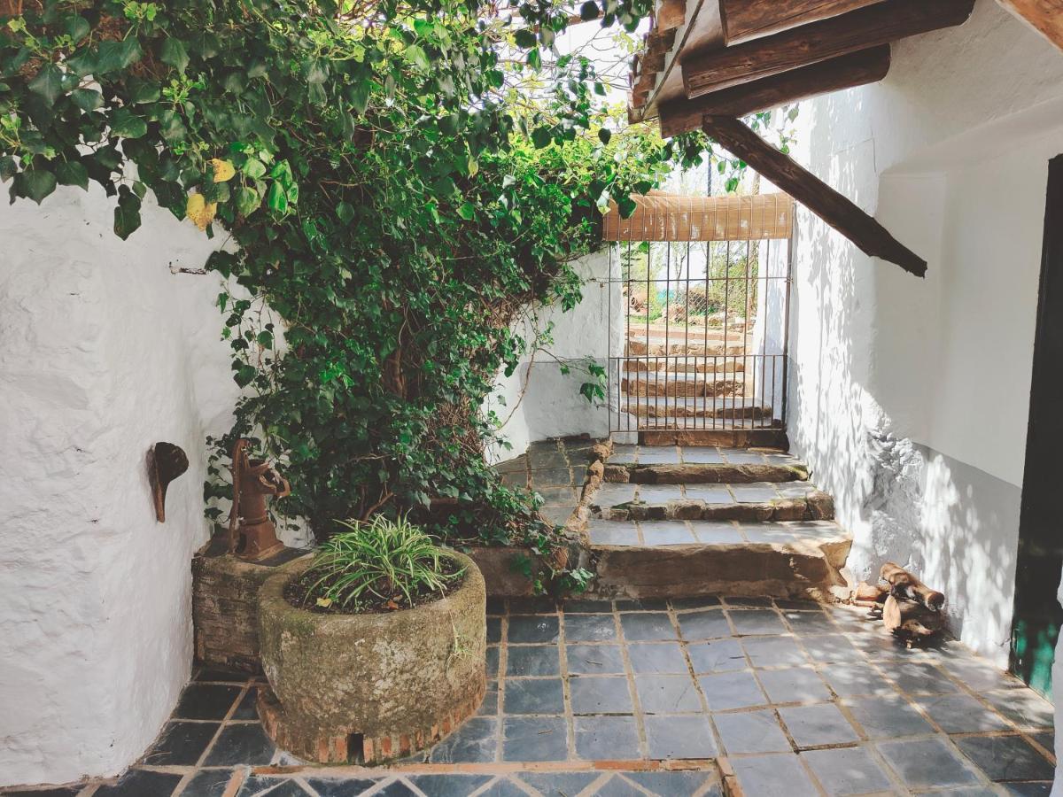 La Era De San Blas Fuentes de León المظهر الخارجي الصورة